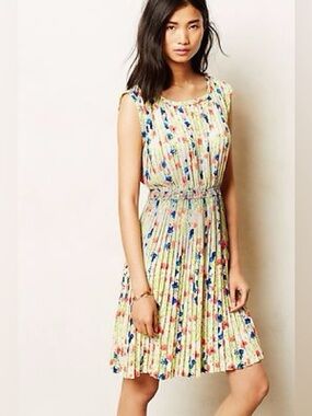 Yoana Baraschi Meadowlight Floral Pleated Dress